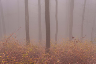 Natur