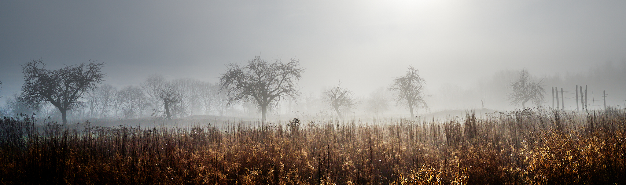 Natur-4