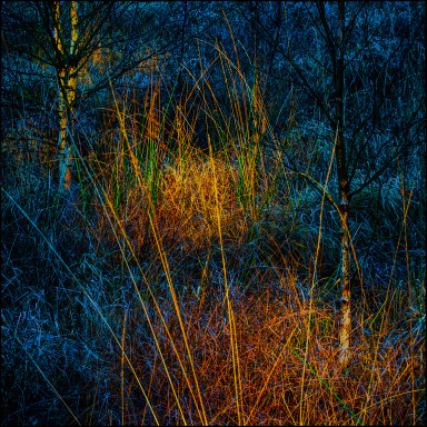 Landschaft