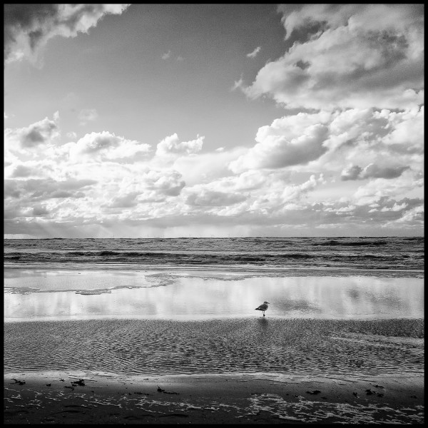 Landschaft - Am Meer