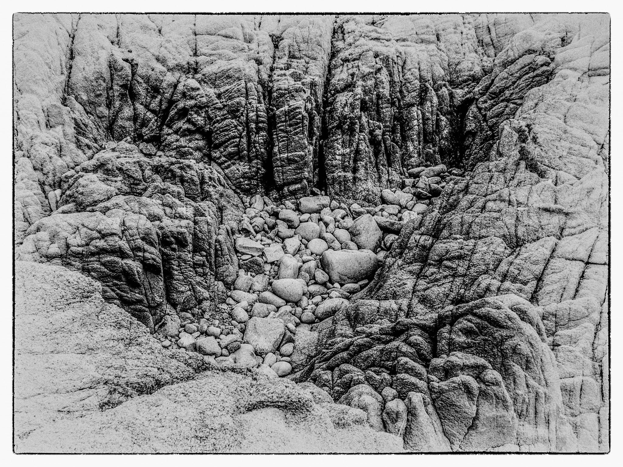 Black-White-01-1.JPG