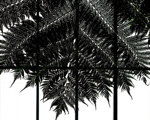 Black-White-01-3.jpg