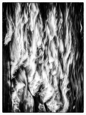 Black-White-01-5.JPG