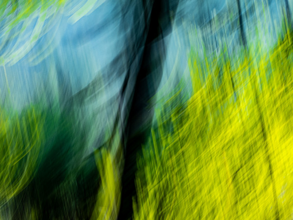 WL_Interlaken_360.jpg