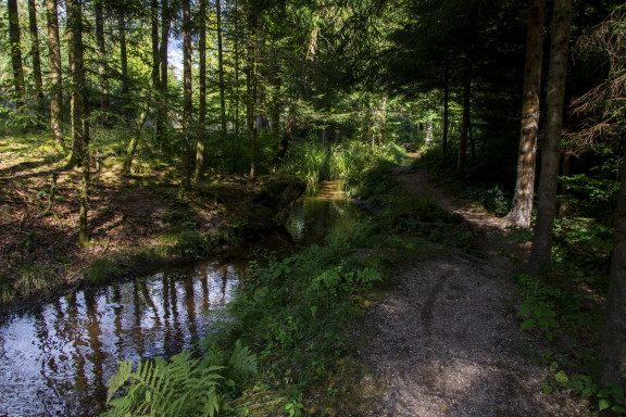 Bilder von Renate Warnecke