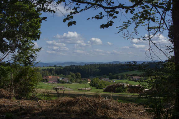 Bilder von Renate Warnecke