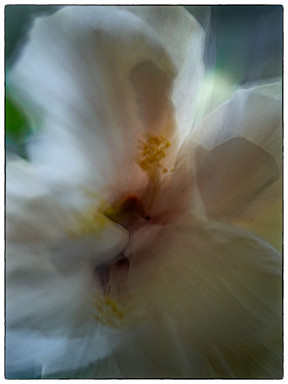 Bilder von Werner Lepper