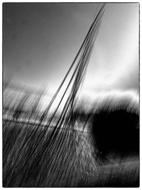 WL_Linien_032