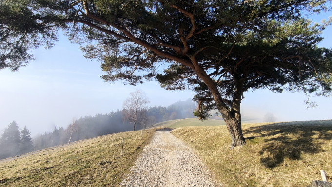 UG_2_Geiersnest_2026_1