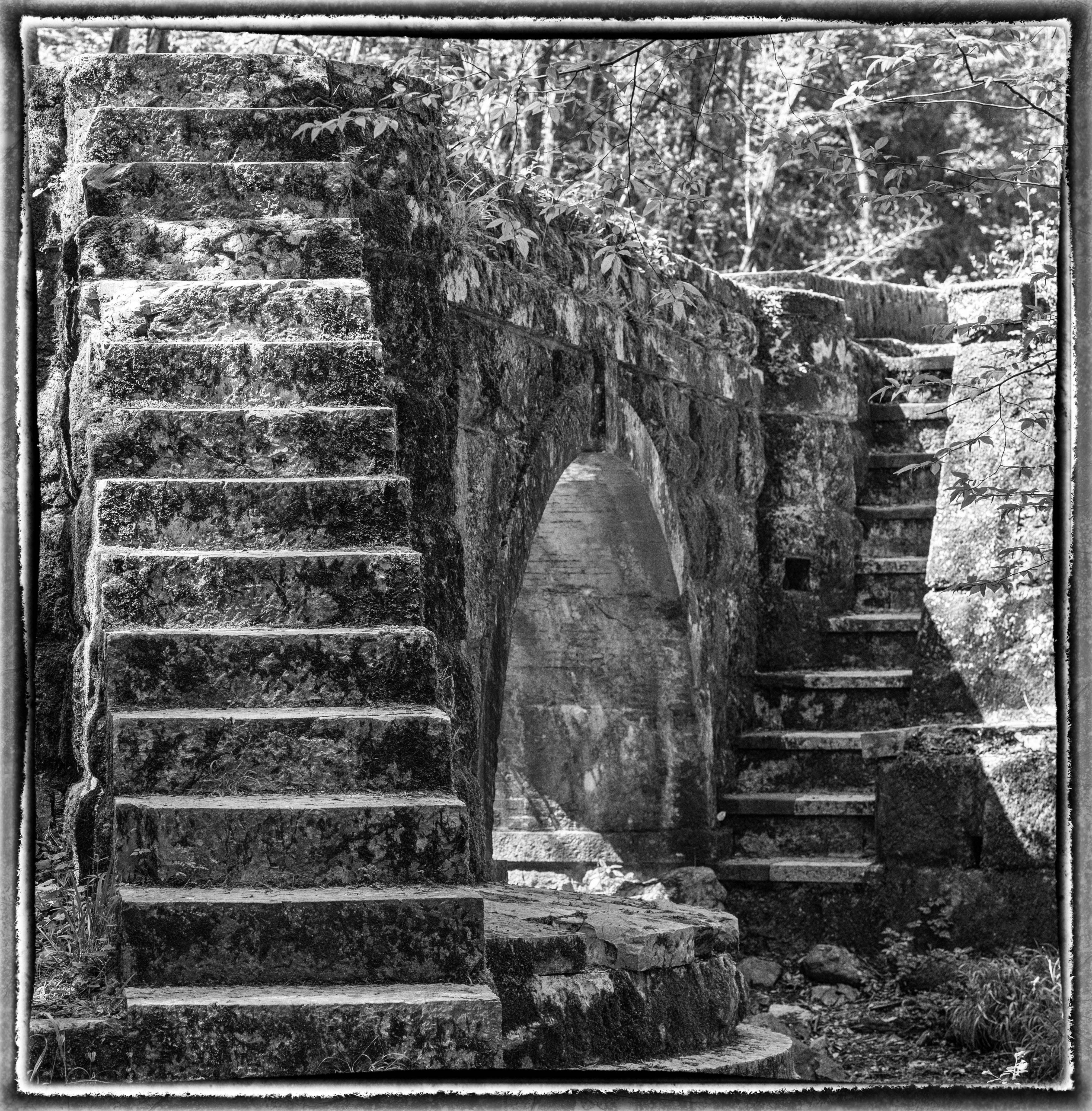 FFF20250709PL_Treppen3.jpg
