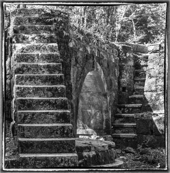 FFF20250709PL_Treppen3.jpg