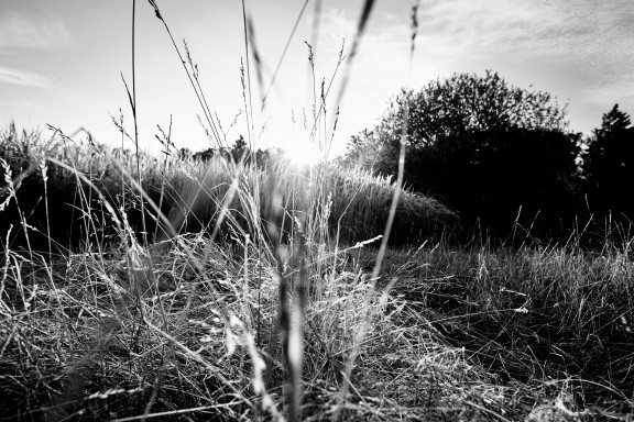 Trocken_UG_D5P1705xy