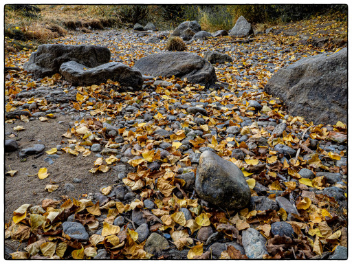 WL_Trockenheit_1